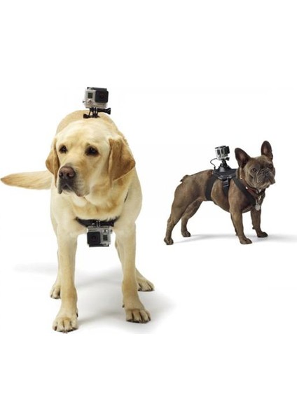 Gopro Hero 5-4-3-3+ , Sjcam Ve Session İçin Köpek Askısı Çift Kamera Tutucu Aparatı Dog Strap