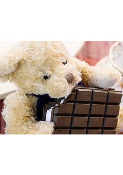 Çikolata Kokulu Not Defteri fiyatları