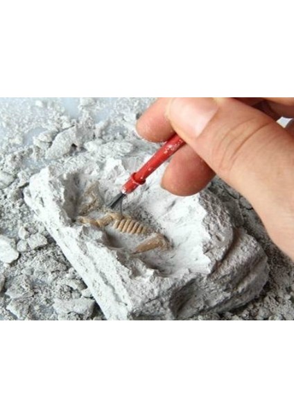 Mumya Arkeolojik Kazı Seti fiyatları