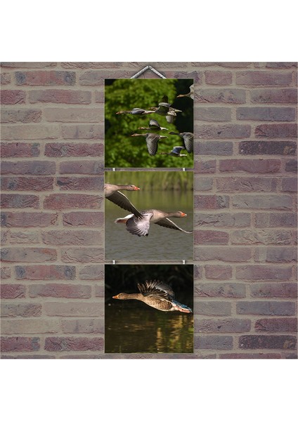 Ahşap Tablo Gölde Uçan Kazlar Baskılı 14X14 Cm 3 Parça