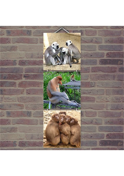Ahşap Tablo Maymun Gurupları Baskılı 14X14 Cm 3 Parça