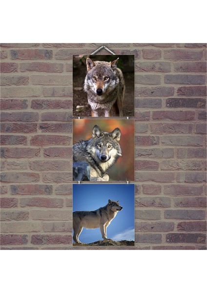 Ahşap Tablo Gri Kurtlar Baskılı 14X14 Cm 3 Parça