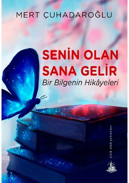 Senin Olan Sana Gelir :Bir Bilgenin Hikayeleri