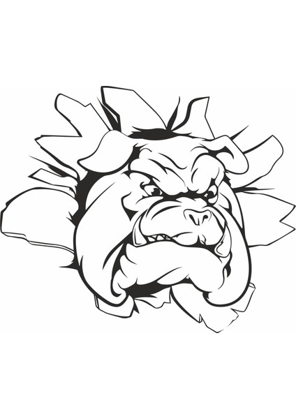 Angry Dog Duvar Sticker fiyatları