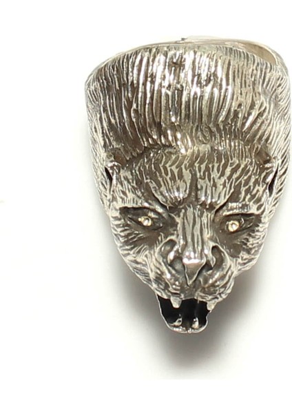Aslan Başı Modeli Gümüş Erkek Yüzük fiyatları