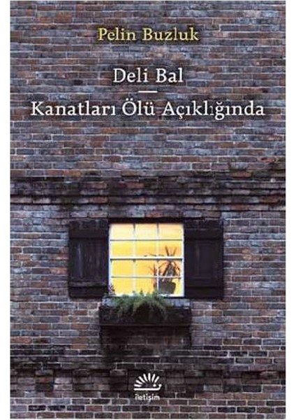 Deli Bal: Kanatları Ölü Açıklığında - Pelin Buzluk