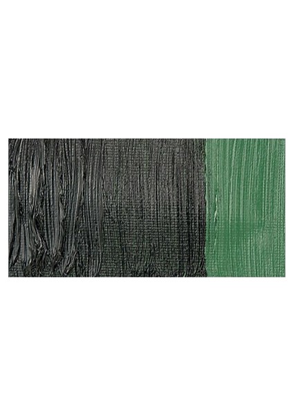 Huile Fine Xl 37 Ml Yağlı Boya No17 Sap Green