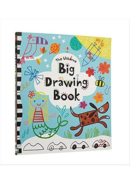 Big Drawing Book