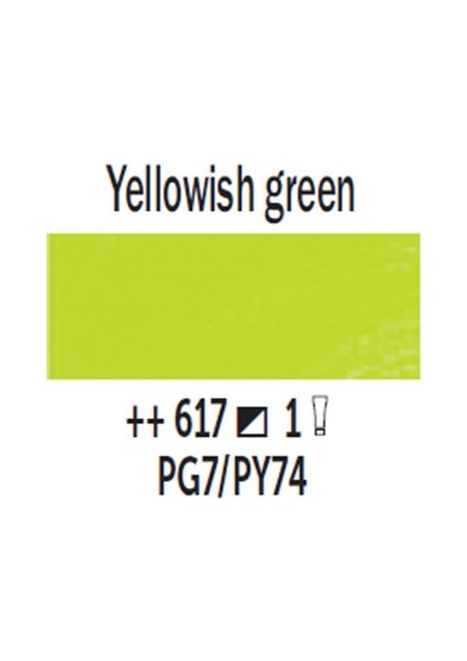 Van Gogh 40 Ml Yağlı Boya Seri 1 No 617 Yellowish Green