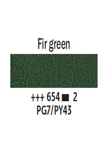 Van Gogh 40 Ml Yağlı Boya Seri 2 No 654 Fir Green