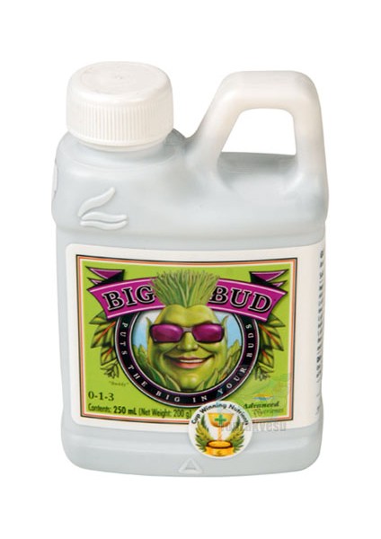 Big Bud - Büyük Meyveler 500 Ml