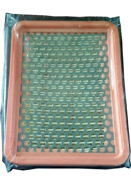 Çim Biçme Makinesi Hava Filtresi 170Mm X 110Mm