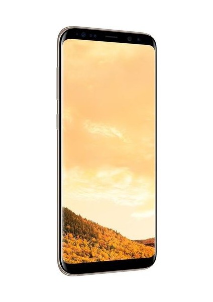Galaxy S8 Plus (Samsung Türkiye Garantili) Altın fırsatları