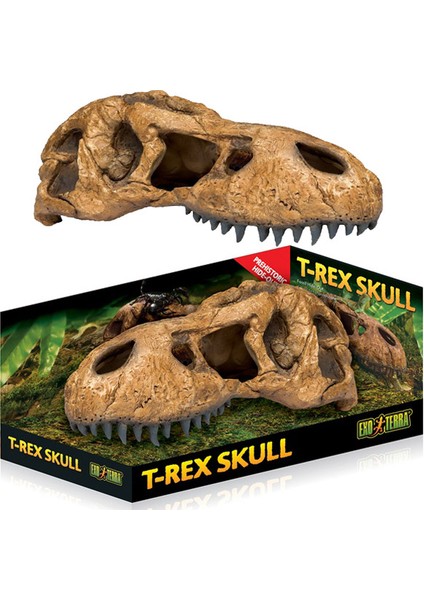 Trex Kafatası Şekilli Sürüngen Yuvası