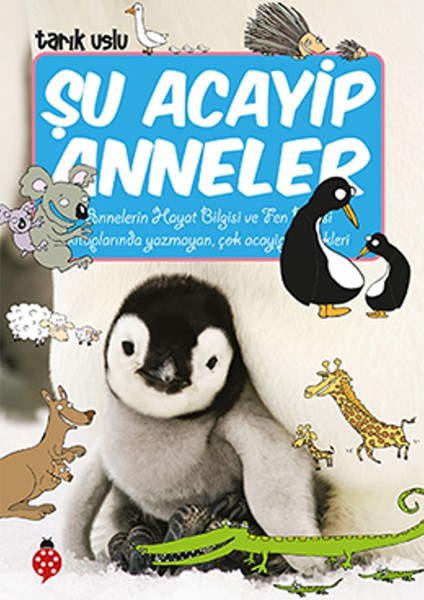 Şu Acayip Anneler - Tarık Uslu