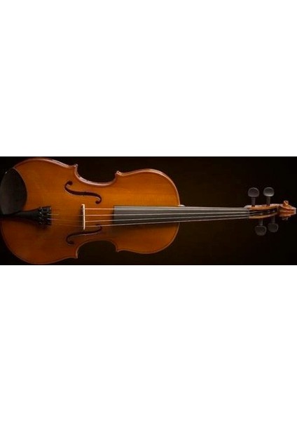 Va16040 Viola Sunburst Kutulu 15 5''