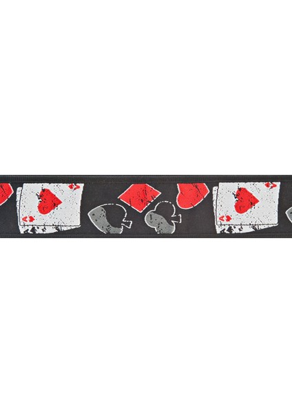 Planetwaves 50D01 Gitar Askısı Dokuma 50Mm Strap-Np Hold Em