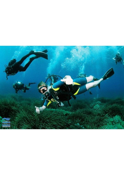 Sealife ADZ2001 Gözlük-Maske Şnorkel Seti modelleri