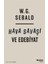 Hava Savaşı Ve Edebiyat - W. G. Sebald 1