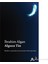 Algısız Tin-İbrahim Algan 1