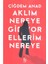 Aklım Nereye Gidiyor Ellerim Nereye - Çiğdem Anad 1