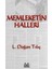 Memleketin Halleri-L. Doğan Tılıç 1
