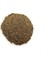 Kereviz Tohumu 100gr 1