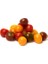 Dört Çeşit Cherry Domates* (Eko Paket) [Tohhum Ev Bahçe] 1