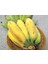 Altın Parmak Muz Tohumu(Goldfinger Banana) [Tohhum Ev Bahçe] 1