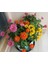 Zinnia Tohumu( Zinnia Elegans) Saksı Toprak Seti [Tohhum Ev Bahçe] 2