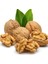 Ceviz - Lezzetli, İnce Kabuk 1Kg 2