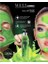 Peel Off Moss Face Mask 130 Ml Yosun Maske 1