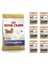 Chihuahua Yetişkin Köpek Maması 1,5 Kg 6 Adet Royal Canin Chihuahua Pouch Hediye 1
