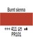 Amsterdam Akrilik Boya 500 Ml 411 Burnt Sienna 1