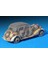 1/35 Ölçek Plastik Maket, Mercedes Benz Typ 170V Cabrio Saloon 3