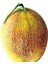 Ananas Bal Kavun Tohumu 5+ Tohum 1