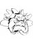 Angry Dog Duvar Sticker 2