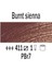 Van Gogh 200 Ml Yağlı Boya Seri 1 No 411 Burnt Sienna 1