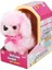 Sevimli Köpek Poodle 2