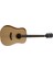 Pw410Ns Akustik Gitar 1