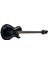 Z64 BK Elektro Gitar 1