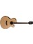 Pw470-Ns Elektro Akustik Gitar Parkwood Cutaway Çantal? 1