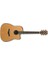 İbanez Aw3050Ce-Lg Elektro Akustik Gitar 1