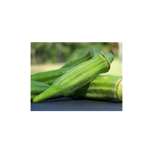 Bamya Fidesi Turleri Ve Ozellikleri Bamya Gen Tr