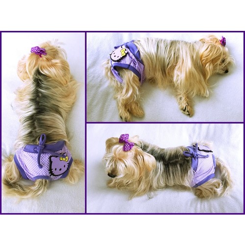 Kopek Ic Camasiri Kedi Regl Kulot Fiyati Taksit Secenekleri