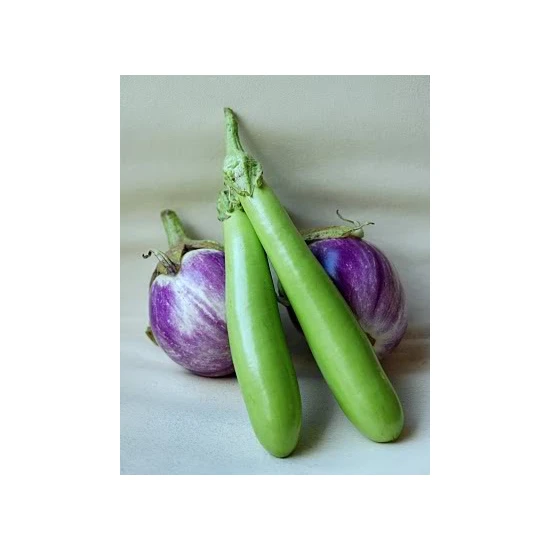 Tohhum Yeşil Patlıcan* (Thaı Eggplant) [Tohhum Ev Bahçe]