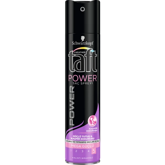 Taft Power Kaşmir Sprey 250 ml