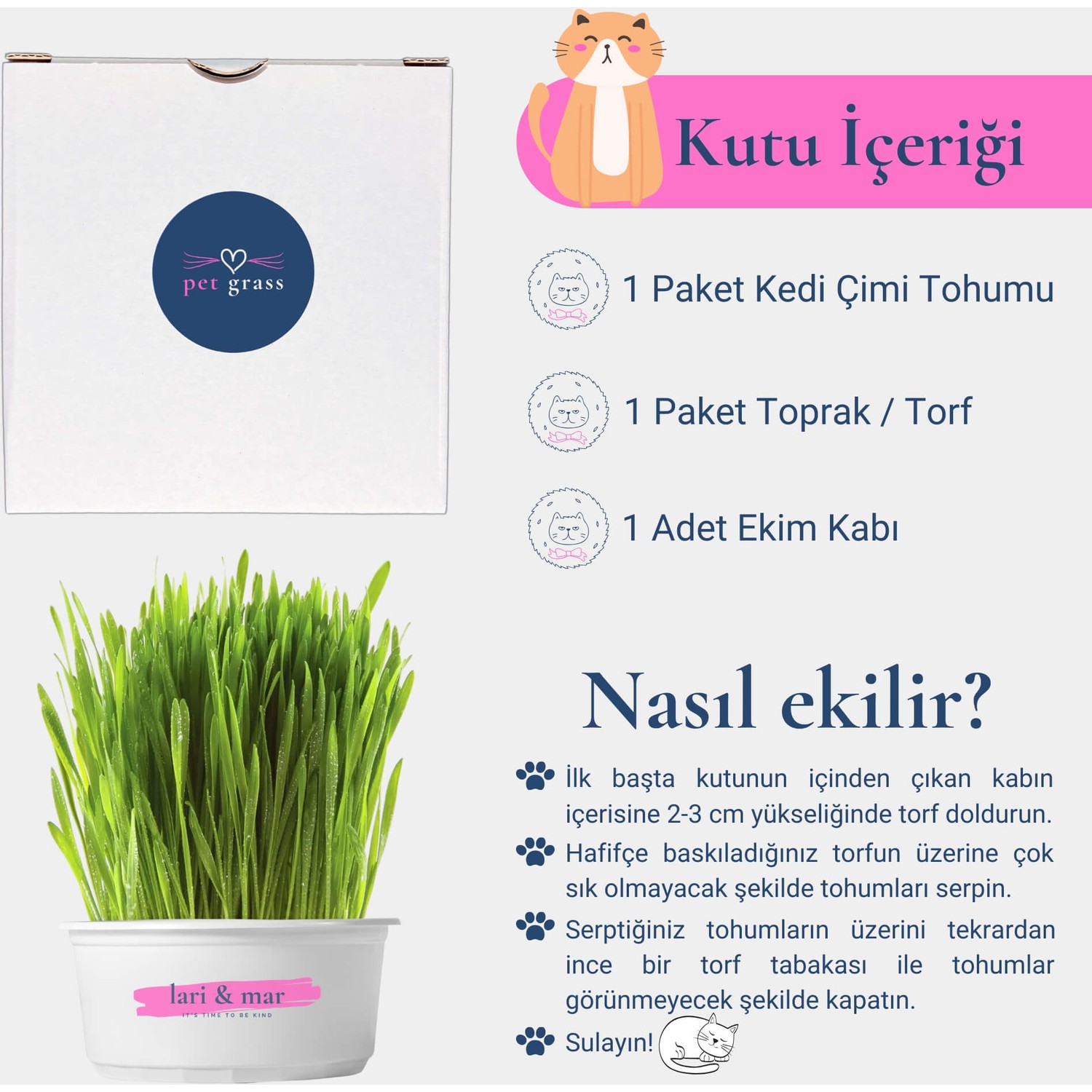 Lari Mar Pet Grass Kedi Cimi Fiyati Taksit Secenekleri