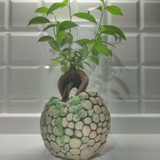 Eylül Bonsai Ağaç 3D Dekoratif Saksı İçerisinde