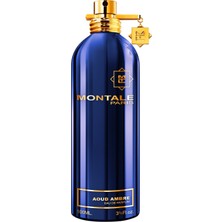 Montale Aoud Ambre Edp 100 ml